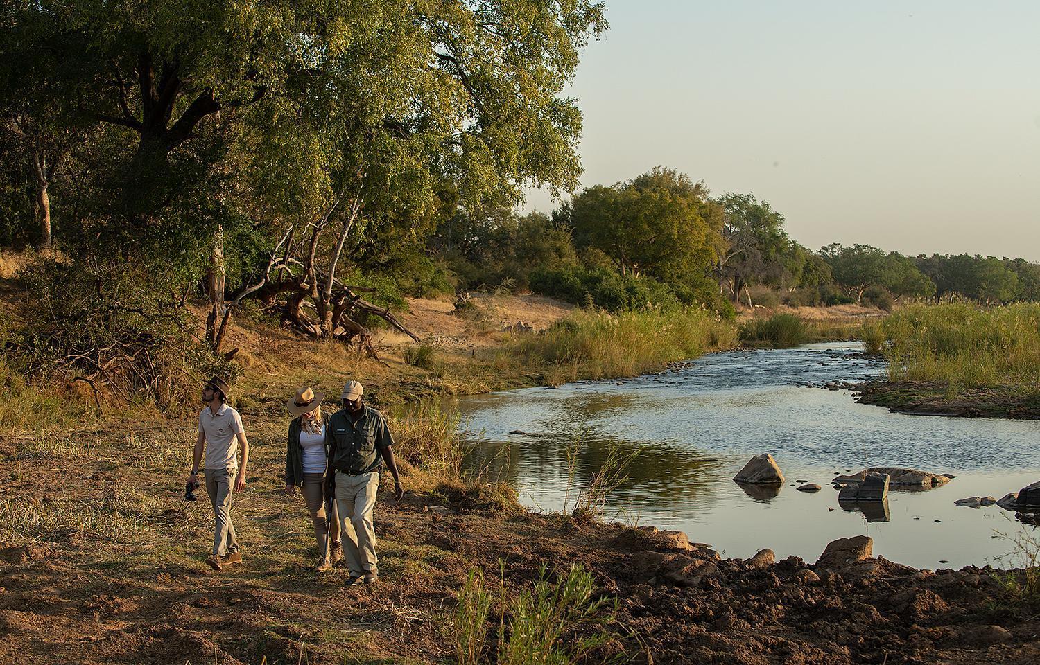 Pondoro Game Lodge Balule Game Reserve Eksteriør bilde